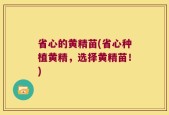 省心的黄精苗(省心种植黄精，选择黄精苗！)