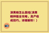 滇黄精怎么栽培(滇黄精种植全攻略，高产收成技巧，详细解析！)