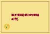 柔毛黄精(柔软的黄精毛发)