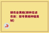 耕农业黄精(耕种走进农田：探寻黄精种植奥秘)
