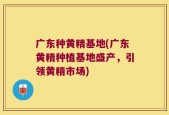 广东种黄精基地(广东黄精种植基地盛产，引领黄精市场)