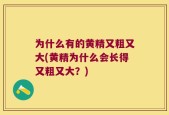 为什么有的黄精又粗又大(黄精为什么会长得又粗又大？)
