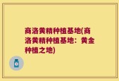 商洛黄精种植基地(商洛黄精种植基地：黄金种植之地)