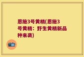 恩施3号黄精(恩施3号黄精：野生黄精新品种来袭)