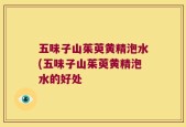 五味子山茱萸黄精泡水(五味子山茱萸黄精泡水的好处