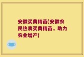 安徽买黄精苗(安徽农民热衷买黄精苗，助力农业增产)
