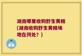 湖南哪里收购野生黄精(湖南收购野生黄精场地在何处？)