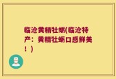 临沧黄精牡蛎(临沧特产：黄精牡蛎口感鲜美！)
