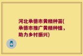河北承德市黄精种苗(承德市推广黄精种植，助力乡村振兴)