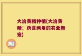 大冶黄精种植(大冶黄精：药食两用的农业新宠)