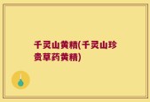 千灵山黄精(千灵山珍贵草药黄精)