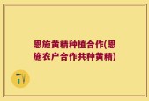 恩施黄精种植合作(恩施农户合作共种黄精)