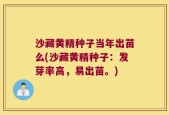沙藏黄精种子当年出苗么(沙藏黄精种子：发芽率高，易出苗。)