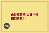 山谷挖黄精(山谷中挖掘到黄精！)