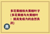 多花黄精和大黄精叶子(多花黄精与大黄精叶：提高免疫力的自然良药)
