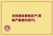 怎样提高黄精高产(黄精产量提升技巧)