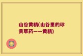 山谷黄精(山谷里的珍贵草药——黄精)