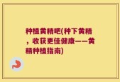 种植黄精吧(种下黄精，收获更佳健康——黄精种植指南)