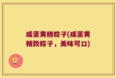 咸蛋黄精粽子(咸蛋黄精致粽子，美味可口)