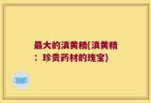 最大的滇黄精(滇黄精：珍贵药材的瑰宝)