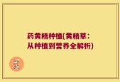 药黄精种植(黄精草：从种植到营养全解析)