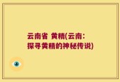 云南省 黄精(云南：探寻黄精的神秘传说)