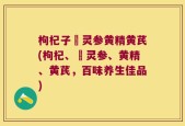 枸杞子侼灵参黄精黄芪(枸杞、侼灵参、黄精、黄芪，百味养生佳品)