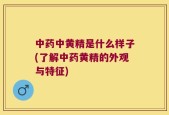 中药中黄精是什么样子(了解中药黄精的外观与特征)