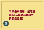 马桑果跟黄精一起泡酒喝吗(马桑果与黄精共同酿造美酒)