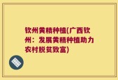 钦州黄精种植(广西钦州：发展黄精种植助力农村脱贫致富)