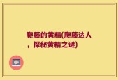 爬藤的黄精(爬藤达人，探秘黄精之谜)