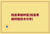 阳泉黄精种苗(阳泉黄精种植技术分享)