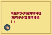 现在有多少亩黄精种植(现有多少亩黄精种植？)