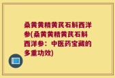 桑黄黄精黄芪石斛西洋参(桑黄黄精黄芪石斛西洋参：中医药宝藏的多重功效)