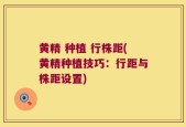 黄精 种植 行株距(黄精种植技巧：行距与株距设置)