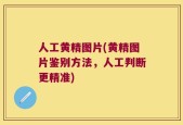 人工黄精图片(黄精图片鉴别方法，人工判断更精准)