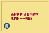山村黄精(山村中的珍贵药材——黄精)