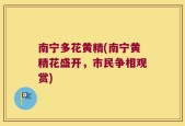 南宁多花黄精(南宁黄精花盛开，市民争相观赏)