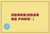 武胜黄精苗(武胜县黄精苗 护林新宠！)