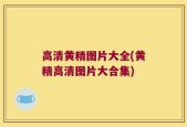 高清黄精图片大全(黄精高清图片大合集)