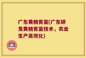 广东黄精育苗(广东研发黄精育苗技术，农业生产高效化)