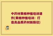 中药材黄精种植培训课件(黄精种植培训：打造高品质药材新路径)