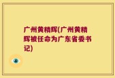 广州黄精辉(广州黄精辉被任命为广东省委书记)