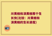 川黄精和滇黄精那个生长快(比较：川黄精和滇黄精的生长速度)