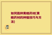 如何栽种黄精药材(黄精药材的种植技巧与方法)