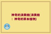 神奇的滇黄精(滇黄精：神奇的草本植物)