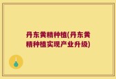 丹东黄精种植(丹东黄精种植实现产业升级)