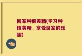 回家种植黄精(学习种植黄精，享受回家的乐趣)