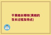 干黄精长哪样(黄精的生长过程及特点)
