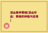 深山里种黄精(深山珍品：黄精的种植与应用)